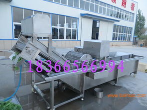 氣泡清洗機 高效清潔的大棗與生姜專業設備解決方案